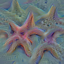 n02317335 starfish, sea star